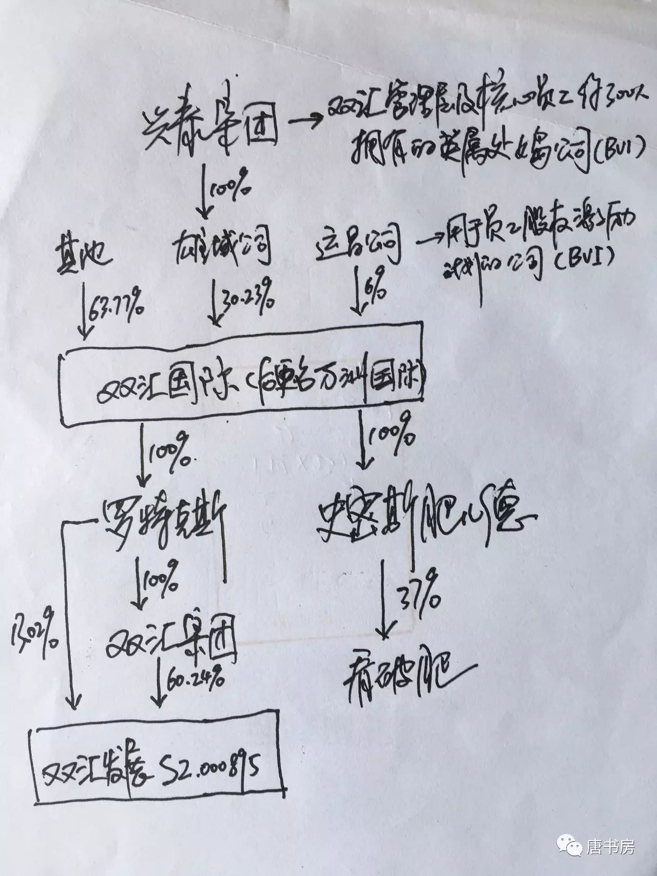 蛰伏者双汇（上）